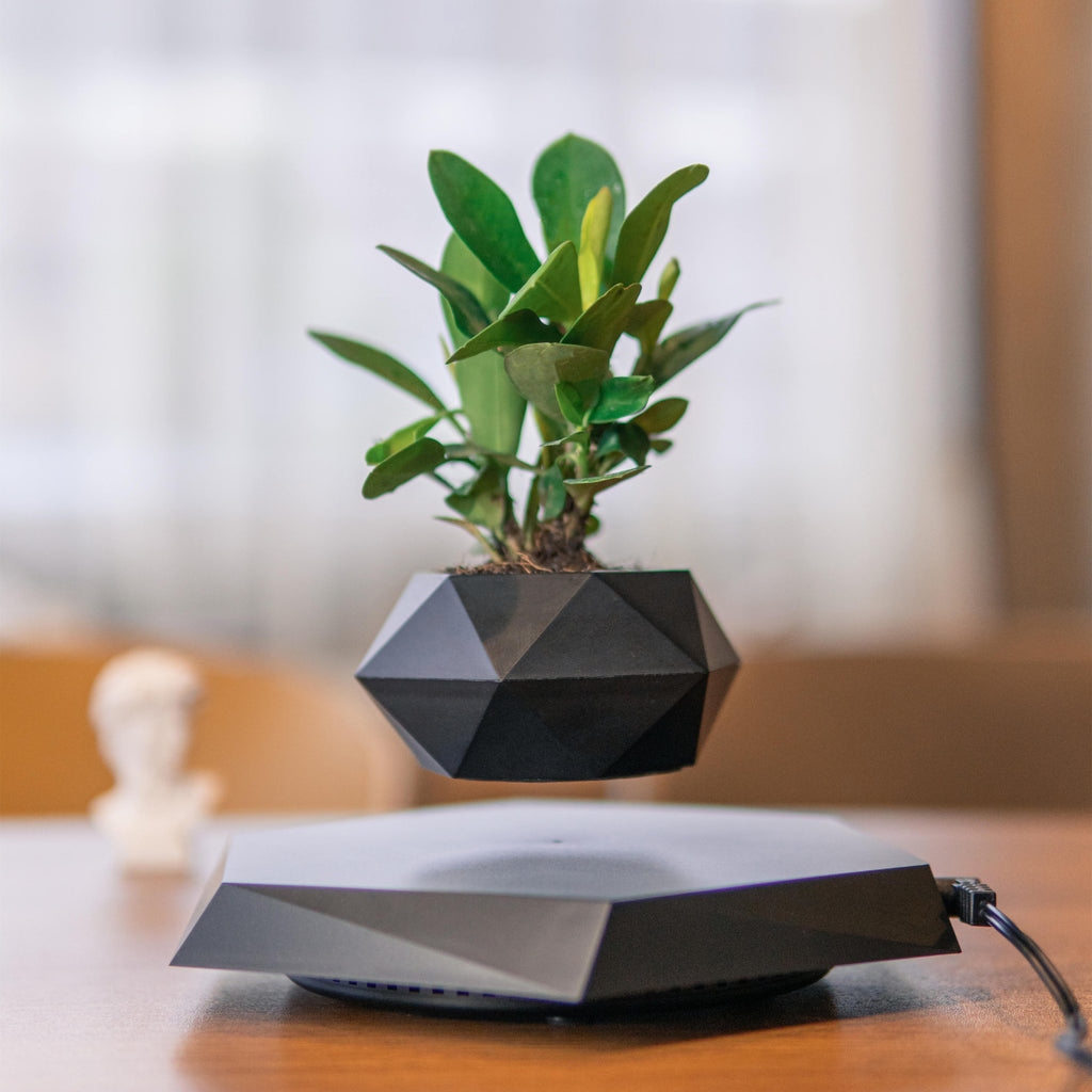 Black faceted magnetic planter floating above its powered base, shown with a plant on a desk.