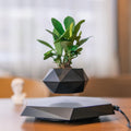 Black faceted magnetic planter floating above its powered base, shown with a plant on a desk.